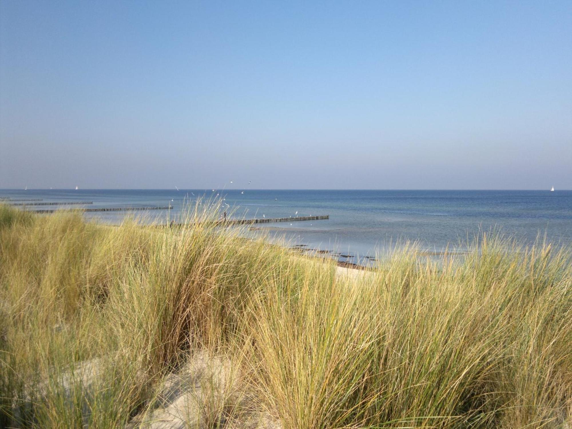 Boutique Bungalow In Insel Poel With Terrace Екстериор снимка